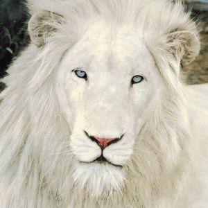 Meet your Posher, Beverley